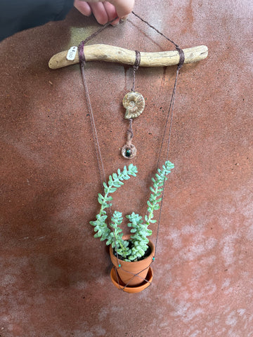 Opalized Ammonite and bug hanger